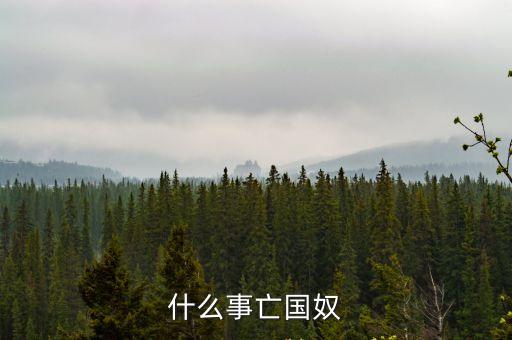 亡國奴，亡國奴和漢奸有什么區別