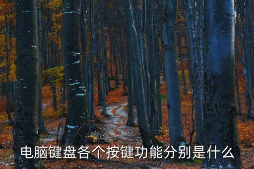 鍵盤按鍵，電腦鍵盤各個(gè)按鍵功能分別是什么