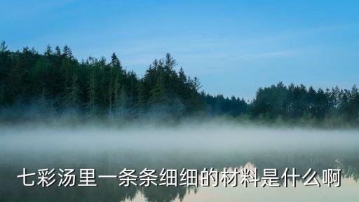 七彩湯里一條條細細的材料是什么啊