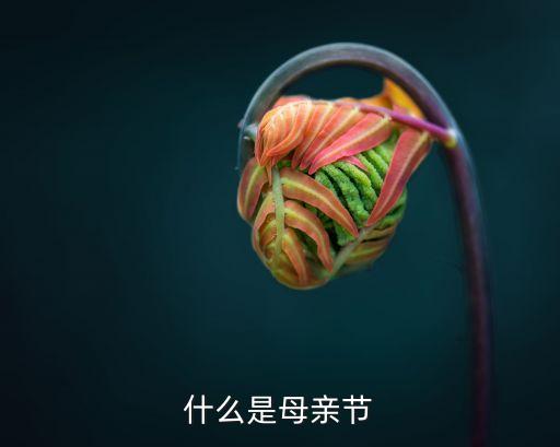 母親節，什么是母親節