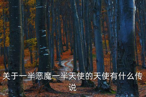 一半天使一半惡魔，Half the angel half the devil 是什么意思