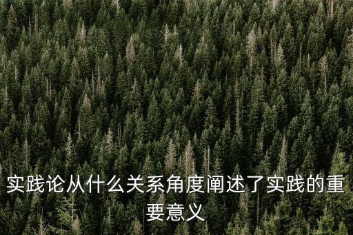實踐論從什么關系角度闡述了實踐的重要意義
