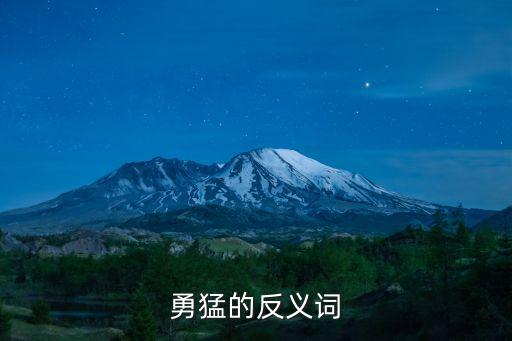 勇猛的反義詞，勇猛的反義詞