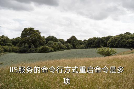 iis重啟命令，IIS服務的命令行方式重啟命令是多項