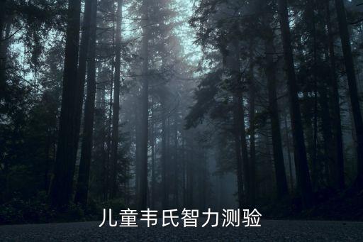 兒童韋氏智力測驗