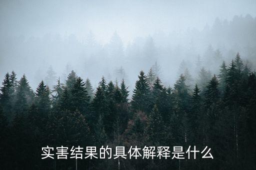 實害結果的具體解釋是什么