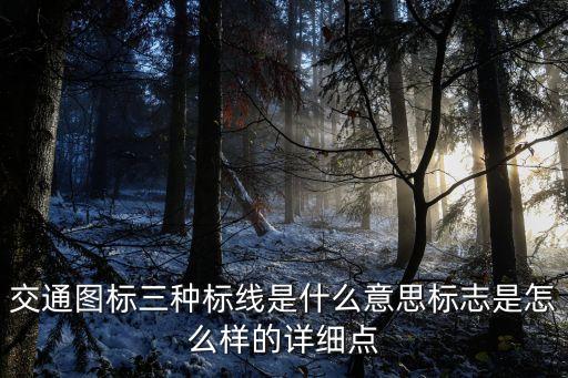 交通標(biāo)線，交通圖標(biāo)三種標(biāo)線是什么意思標(biāo)志是怎么樣的詳細點