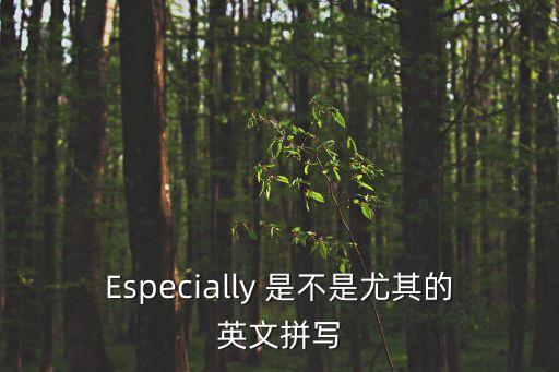 尤其是英語，尤其是英語english above all above用不用加s
