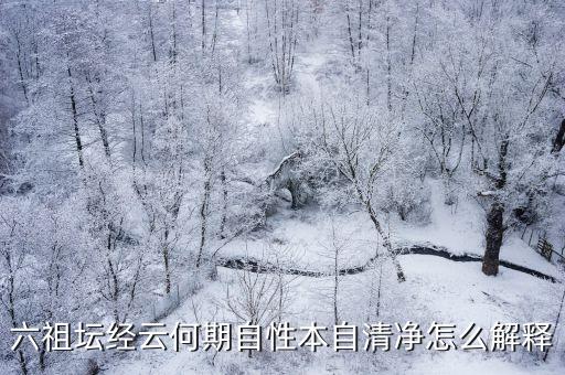 六祖壇經云何期自性本自清凈怎么解釋