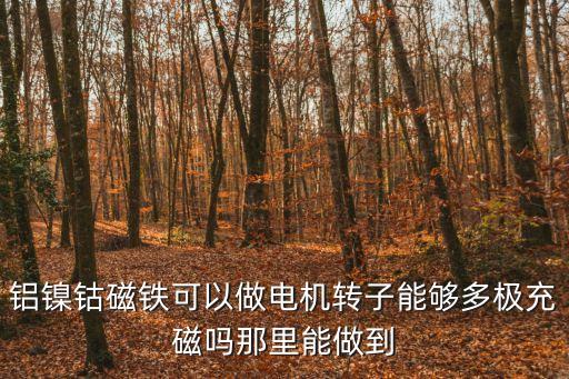鋁鎳鈷磁鐵可以做電機(jī)轉(zhuǎn)子能夠多極充磁嗎那里能做到