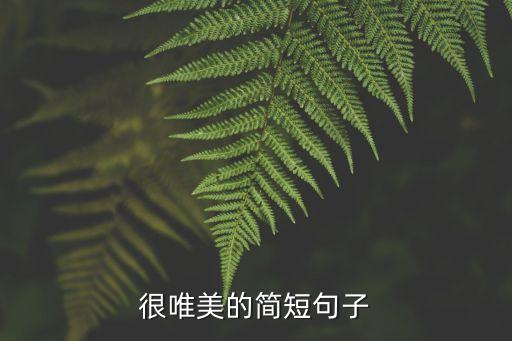 生活唯美的句子，唯美的句子