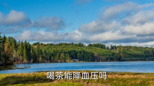 喝綠茶能降血壓嗎，喝茶能降血壓嗎