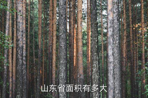 山東省面積有多大
