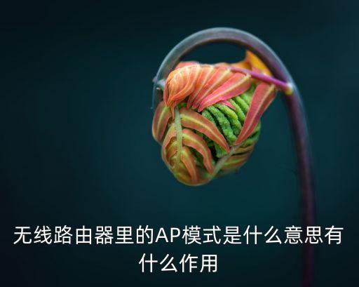 ap模式，無線路由器上的無線AP模式是什么意思