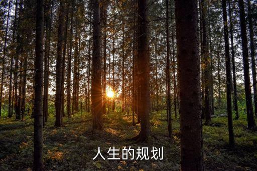 生涯規劃，職業生涯規劃
