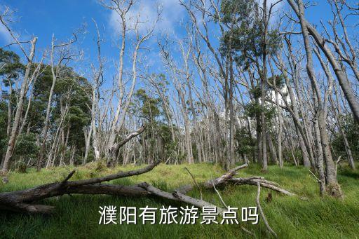 濮陽旅游景點(diǎn)，求河南濮陽哪有好玩的地方呀求列舉越多越好