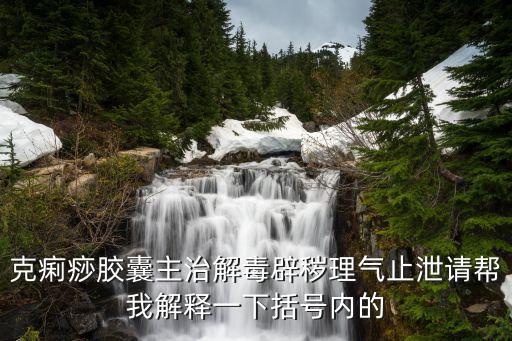 克痢痧膠囊，克痢痧膠囊主治解毒辟穢理氣止泄請幫我解釋一下括號內(nèi)的