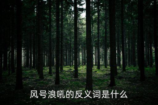 風號浪吼的反義詞是什么