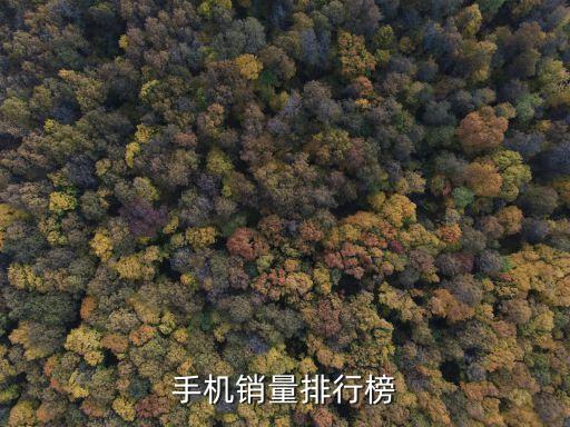 手機(jī)銷量排行榜，現(xiàn)在手機(jī)銷售排行榜的前十名分別是哪些
