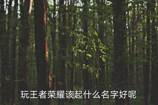 玩王者榮耀該起什么名字好呢