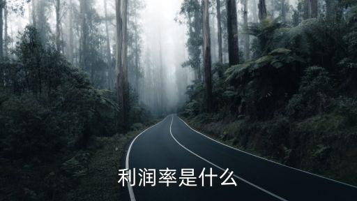 利潤率是什么
