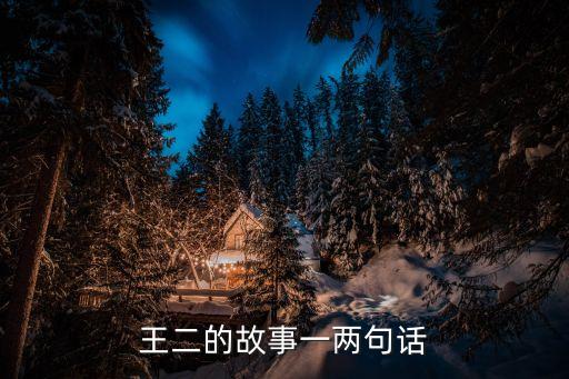 王二的經濟學故事，王二的故事一兩句話