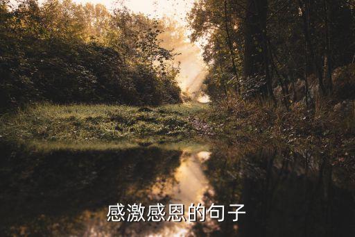 感恩感動，感動與感恩的聯系