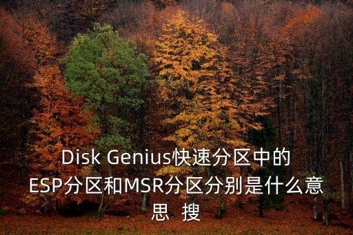 Disk Genius快速分區中的ESP分區和MSR分區分別是什么意思  搜