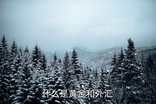 黃金外匯，什么是黃金和外匯