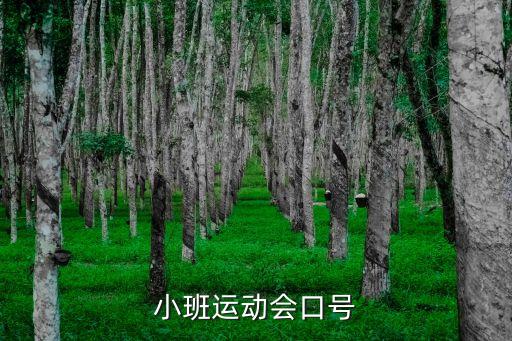 運動會口號幼兒園，大二班運動會口號簡單押韻