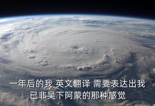 一年后的自己，一年后的我 英文翻譯 需要表達出我已非吳下阿蒙的那種感覺
