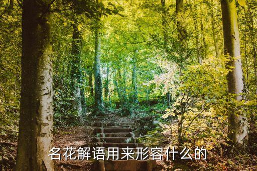 名花解語，名花解語用來形容什么的