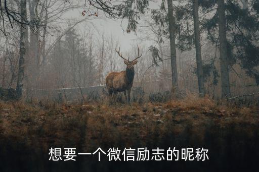想要一個微信勵志的昵稱