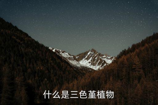 三色堇，什么是三色堇植物
