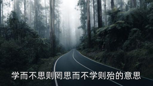 學(xué)而不思則罔思而不學(xué)則殆的意思