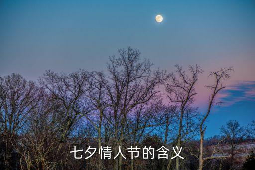 七夕情人節(jié)，什么是七夕情人節(jié)