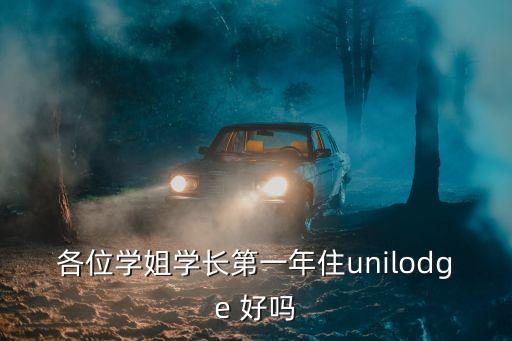 unilodge，有人在unilodge丟過東西嗎