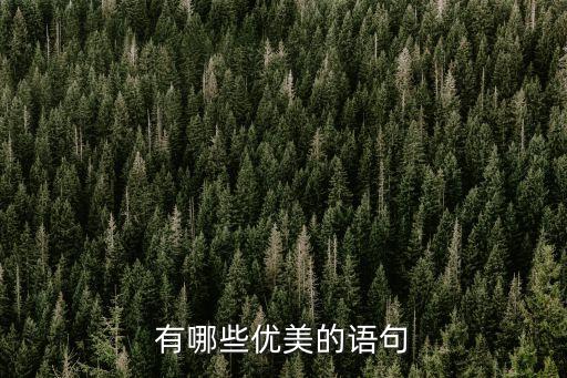 優美的句子有哪些，有什么 優美的語段