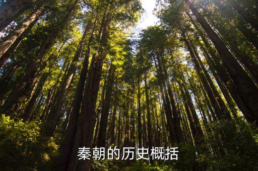 秦朝歷史簡介，秦歷史求解