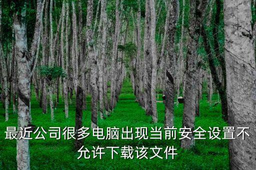 最近公司很多電腦出現當前安全設置不允許下載該文件