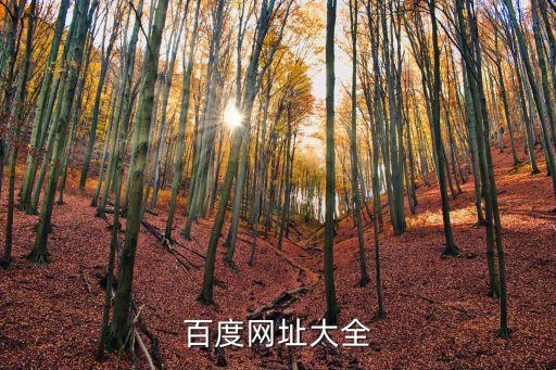 學(xué)習(xí)網(wǎng)官網(wǎng)，無(wú)敵學(xué)習(xí)網(wǎng)的官網(wǎng)網(wǎng)址是什么