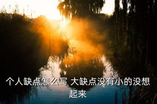 個人缺點怎么寫 大缺點沒有小的沒想起來