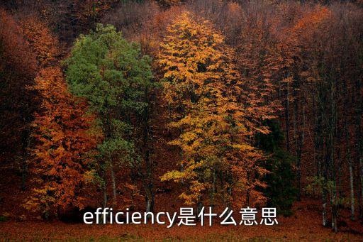 有效率的英語，efficiency是什么意思