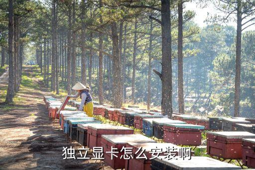 獨立顯卡怎么安裝，裝獨立顯卡的步驟