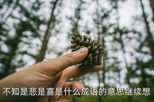 悲喜交加的意思，不知是悲是喜是什么成語的意思繼續想