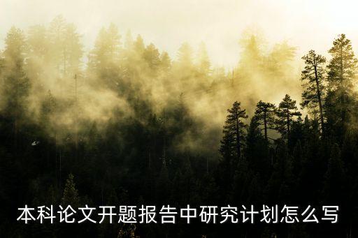 論文研究計劃，請問個人研究計劃怎么寫啊