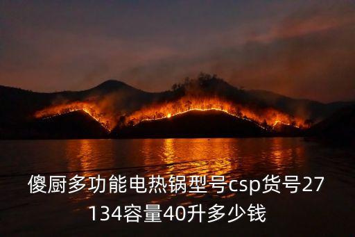 傻廚，傻廚的電熱鍋怎么樣
