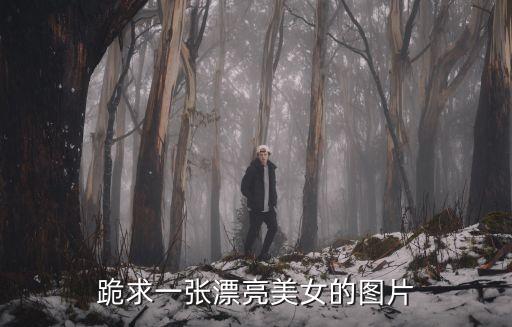 中國美女圖，誰有中國古代四大美女組圖大圖啊急