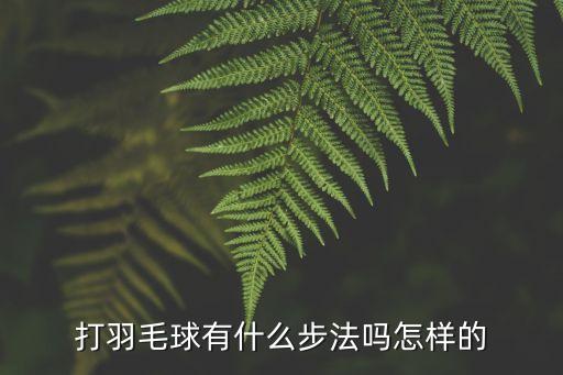 羽毛球基本動作，打羽毛球有什么步法嗎怎樣的