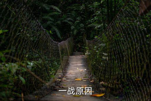 一戰原因